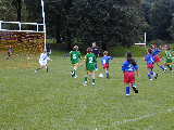 Click to see P9160017.JPG